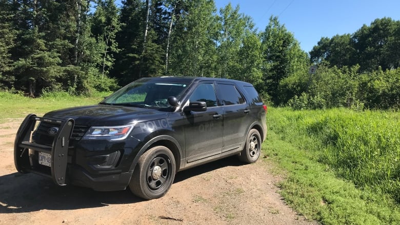 A black SUV with a ram bar and the word police written on the side is parked on a dirt road.