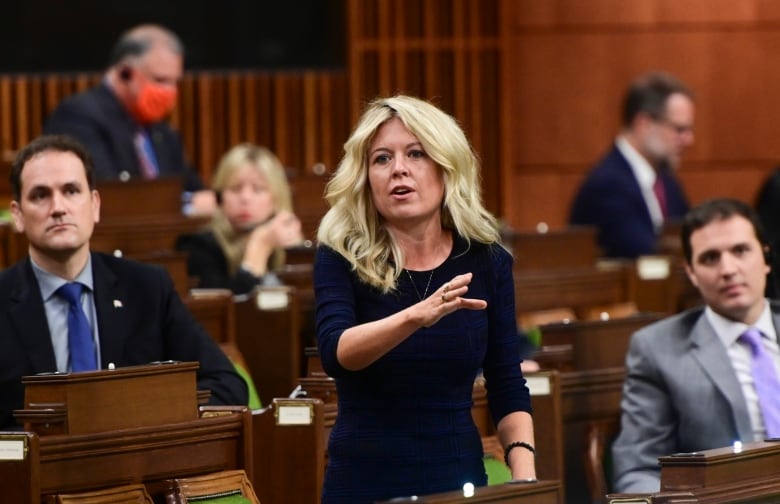 Conservative member of Parliament Michelle Rempel Garner has been raising concerns about AI in the House of Commons.