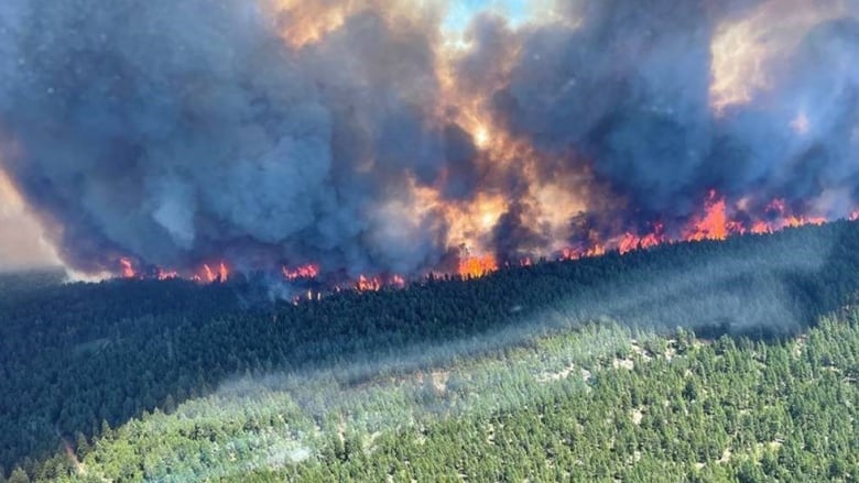 An aerial view of a large wildfire burning in the forest. 