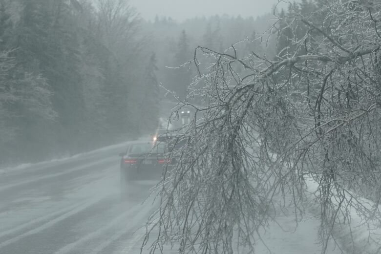 Cars are seen driving on a wet road. The branch of a tree, coated in ice, is seen in the foreground.