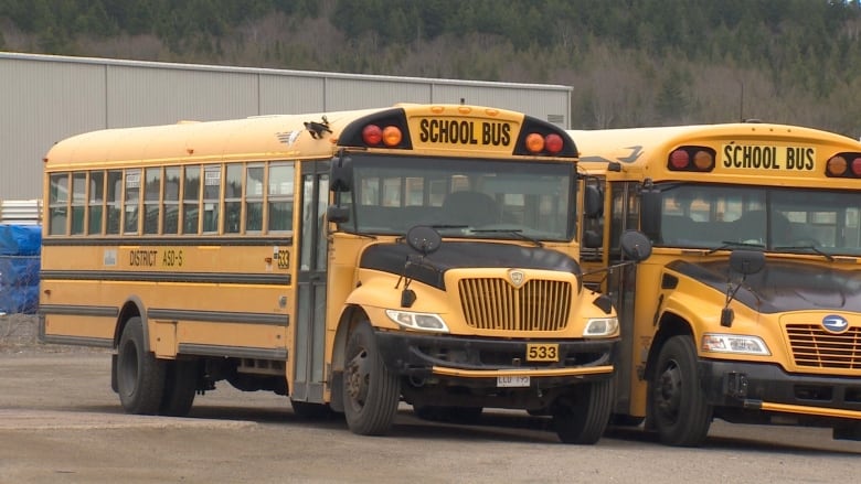 Two school buses side by side