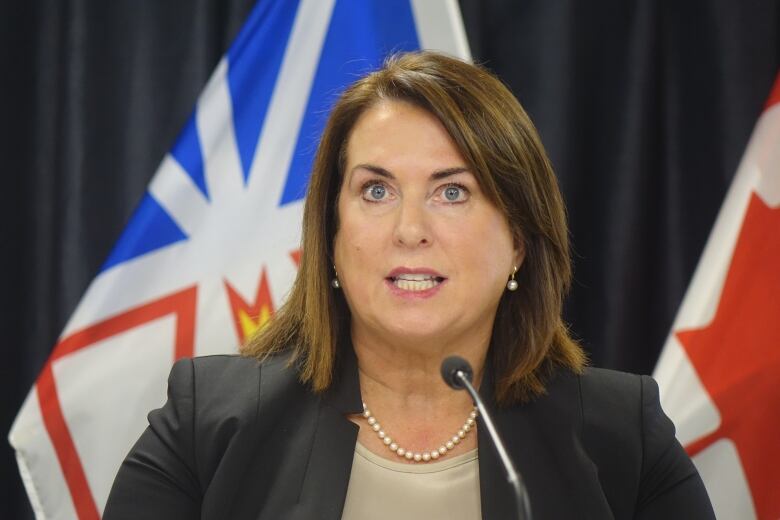 A shoulder height shot of a person with long hair speaks into a microphone while sitting in front of Newfoundland and Labrador and Canadian flags.