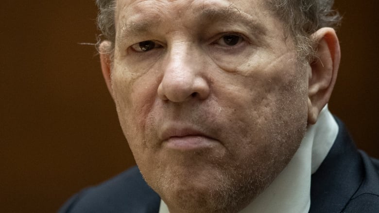 Extreme close up of serious looking older individual  with grey hair. 