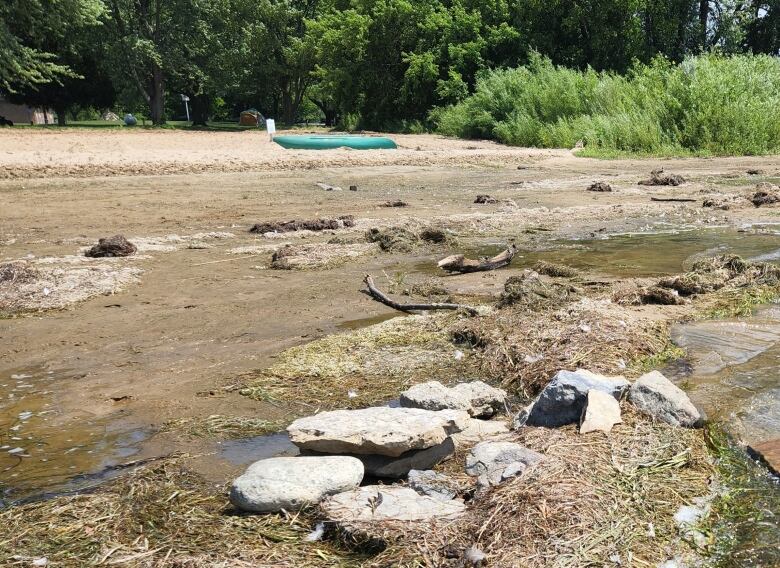 In the foreground of the photo, exposed riverbed shows dry seaweed and rocks out in the sun. In the background, a canoe lies on a sandy beach.