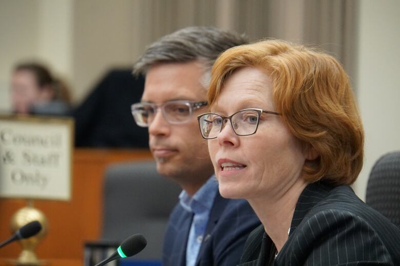 Charla Robinson is the president of the Thunder Bay Chamber of Commerce. She gives a deputation to Thunder Bay city council during the public pre-budget deputation meeting on Thursday night.