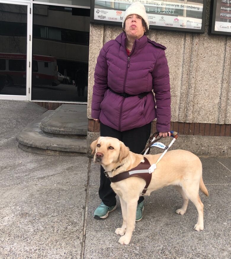 A blind woman wearing a purple coat and white toque hold onto to metal handle bar that's attached to a white labrador retriever.