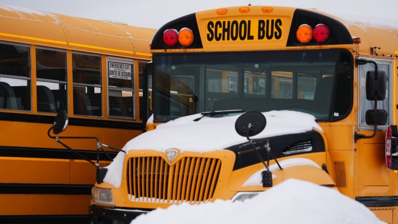 A school bus with snow on its hood next to a snow bank.