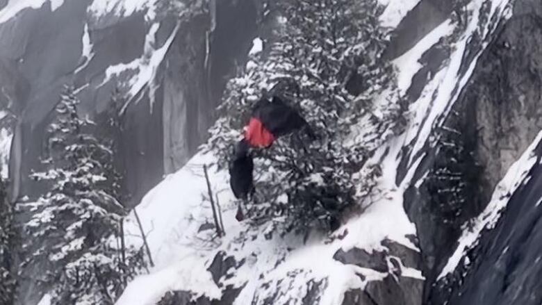 Man in a red and black parachute is stuck on a tree over a rocky, snow-covered slope. 