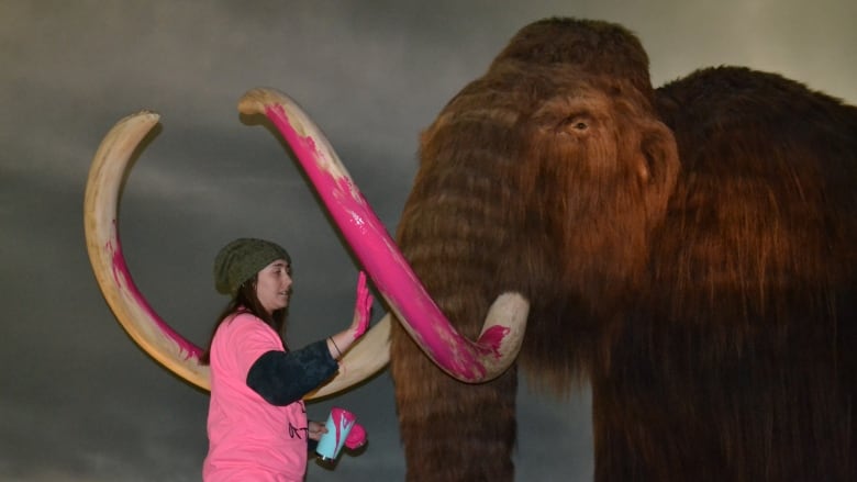 Girl in bright pink shirt paints the tusks of a woolly mammoth statue bright pink. 