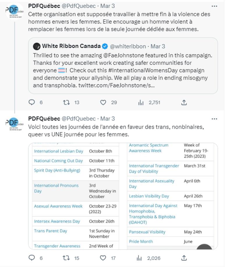 a screenshot of tweets by PDF Quebec calling Fae Johnstone a violent man in French.