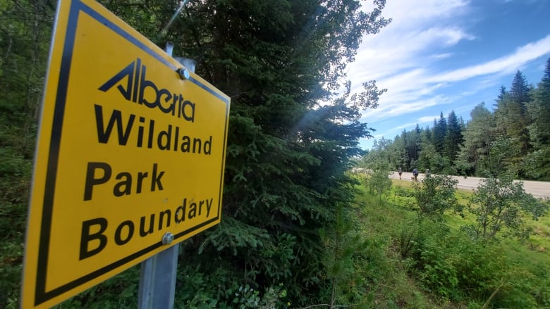 A bright yellow sign stands out against a dark-green forest in this wide-angle shot. At the other end of the image, hikers walk along the edge of a highway.