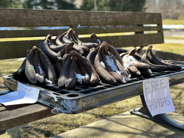 These bananas found in the Cancer Survivors Garden at 544 Riverside Dr. are just one of many examples of banana sightings across the forest city.