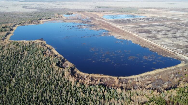 An aerial view of a swamp.