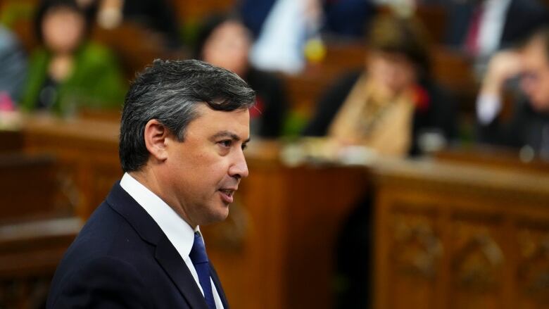 Conservative MP Michael Chong rises during question period on Parliament Hill in Ottawa on Wednesday, May 3, 2023.