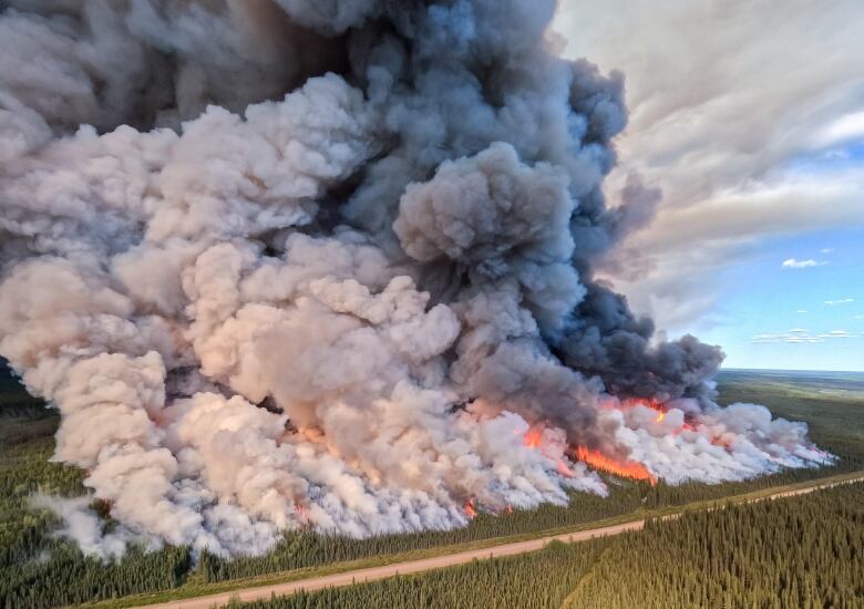 An aerial shot shows a ridge of fire in a vast forest with smoke billowing along a straight line upwards into the sky as far as the eye can see.