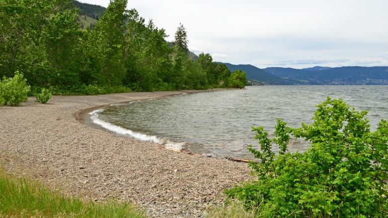 A lakeside beach is pictured on a cloudy day.