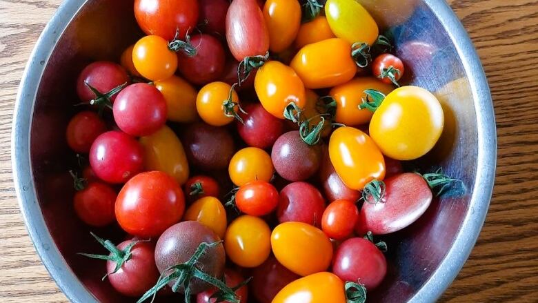 A bowl of colourful tomatoes