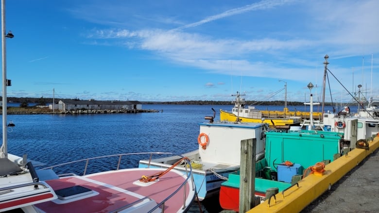 Fishing boats are shown along the ocean