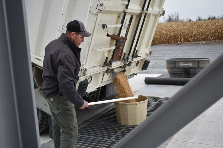 A man captures soybeans pouring out of a truck.