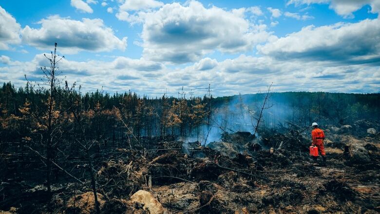 A person wearing an orange uniform walks towards a smokey forest.