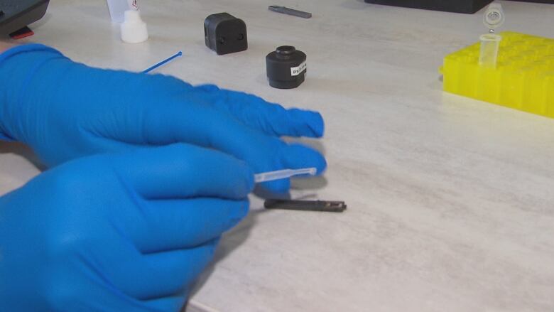 A set of blue-gloved hands hold a dropper full of liquid above a black testing chip.