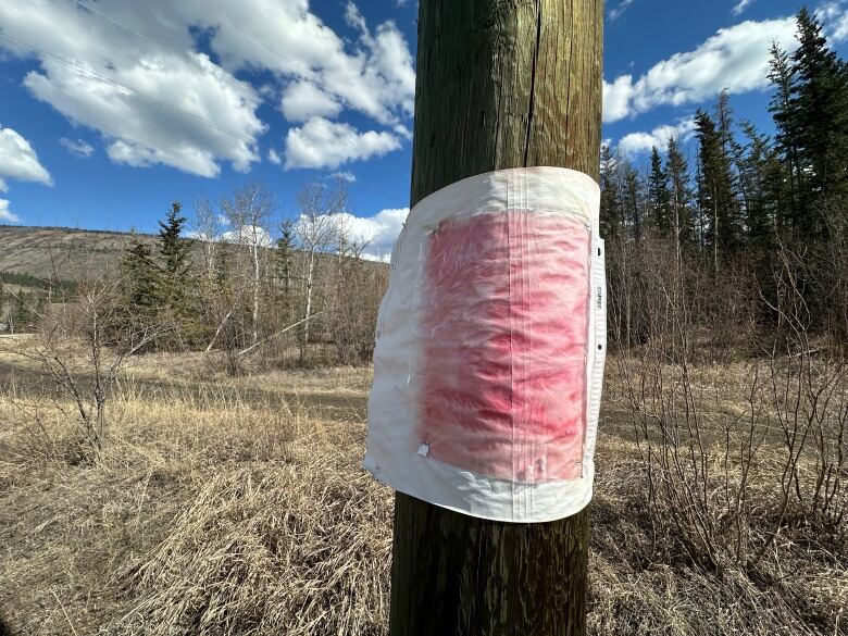 The photo shows a weather-stained poster on a pole. 