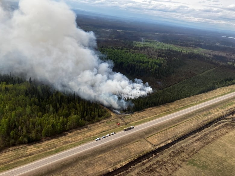 Smoke arises from a forest, which is seen from above.