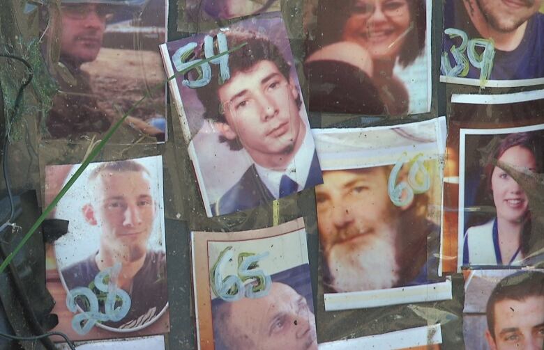 Several photos of people's faces are taped to a fence.