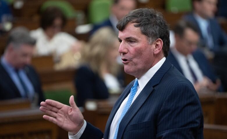 Minister of Public Safety, Democratic Institutions and Intergovernmental Affairs Dominic LeBlanc rises during Question Period, Monday, June 17, 2024 in Ottawa.