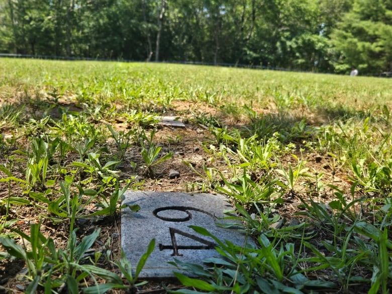 A numbered stone sits in the ground, looking out over a grassy field.