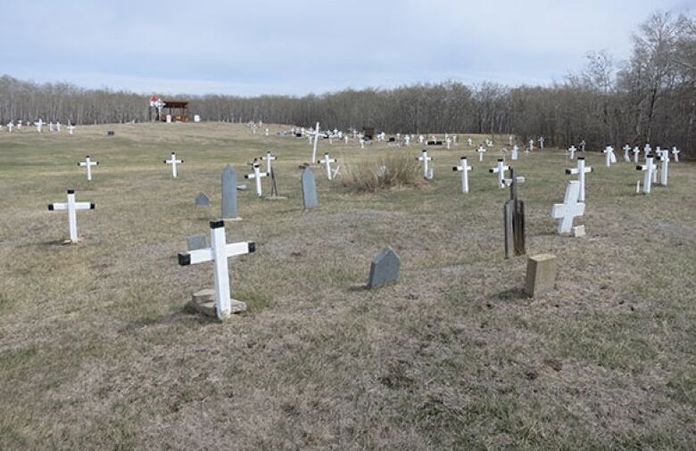 A wide image of a cemetery, showing many wooden, white crosses