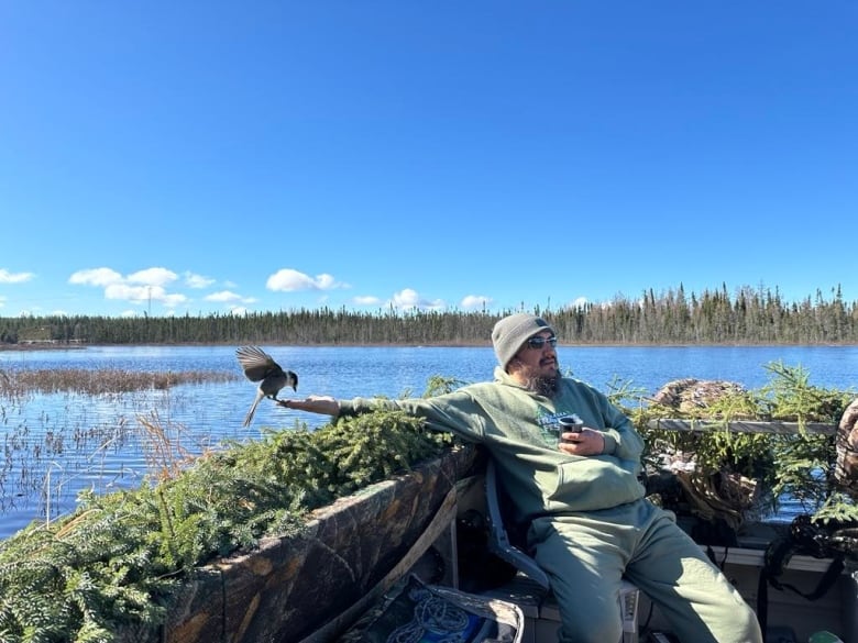 A Cree hunter sits with hand outstretched in a camouflaged boat blind on a lake, with a bird eating out of his hand.