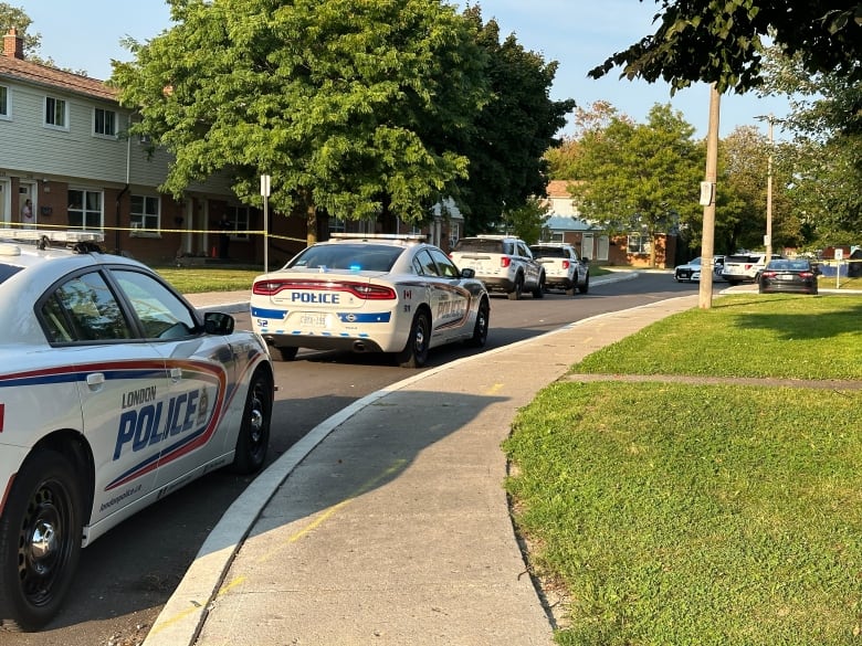 Police cars line the street near the scene of a shooting on Boullee Street on Wednesday afternoon.