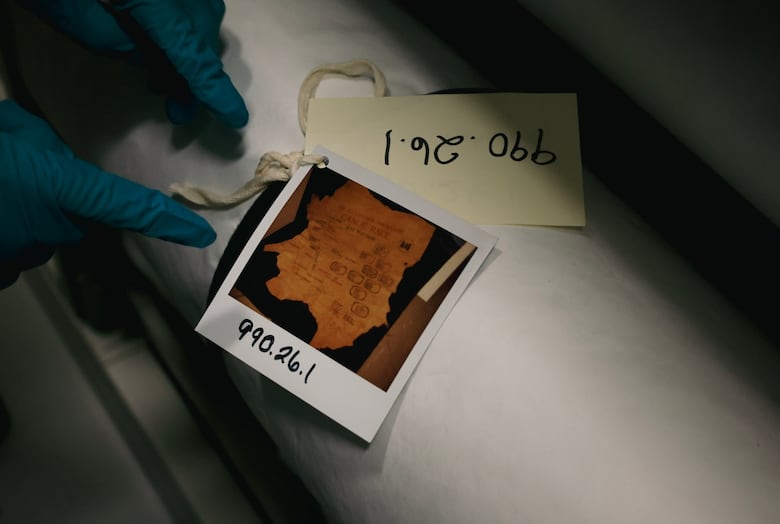 A hand with a surgical glove on it points to a photo of a moose hide that is rolled up